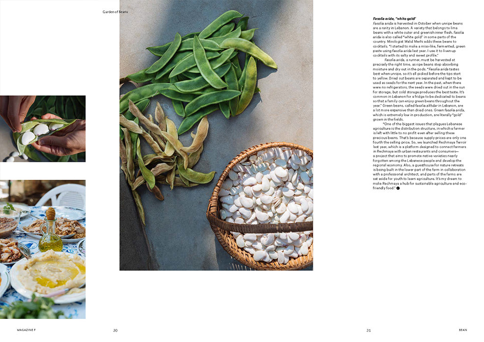 Magazine F: Bean Issue 11
