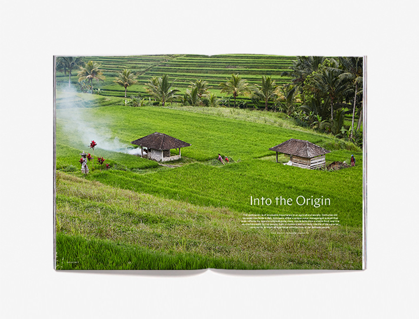 Magazine F: Rice Issue 5